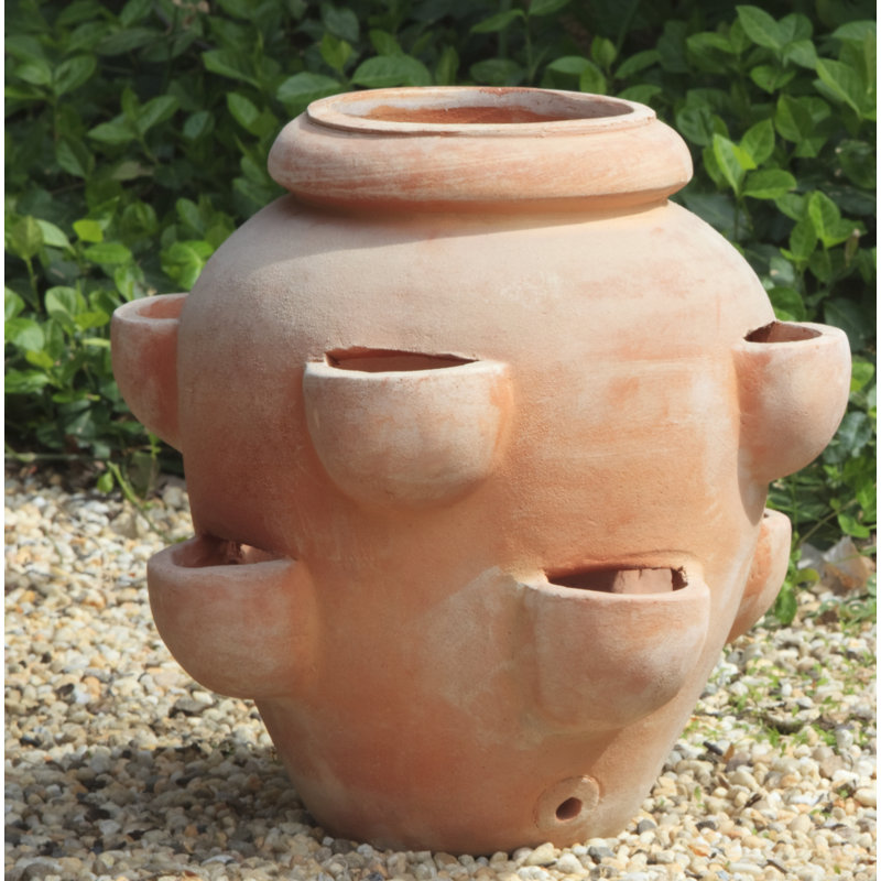 Campania International, Inc Tascandi Strawberry Jar Terracotta Pot